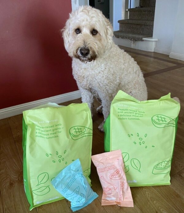 Dog Food For Fussy Dogs Scratch