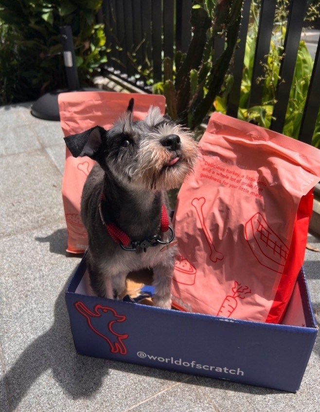 Puppy food near me hot sale