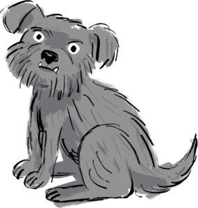 Scruffy dog