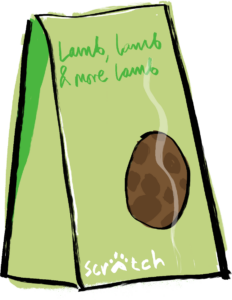 Dog treat bag