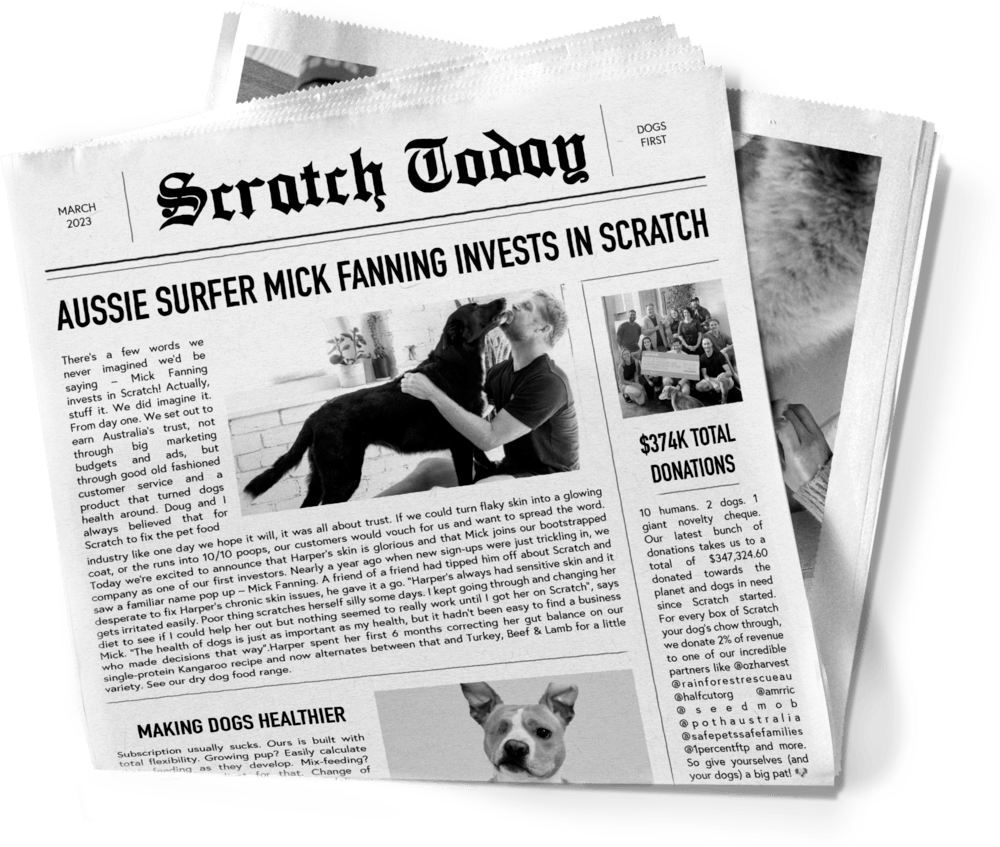 Newspaper Mick