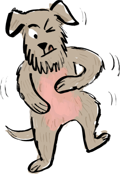 dog illustration
