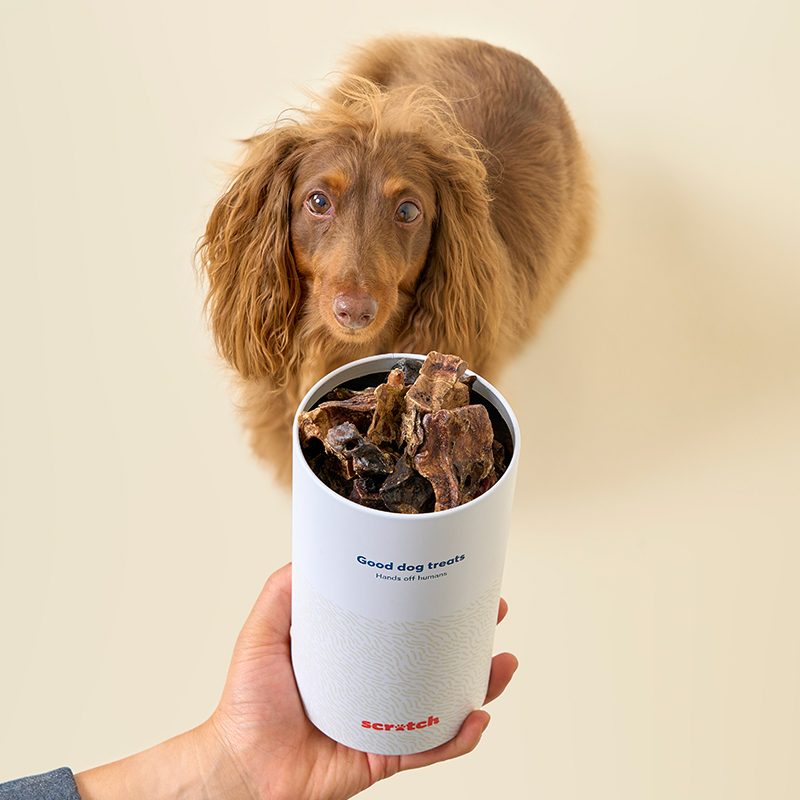 Best Behaviour Container