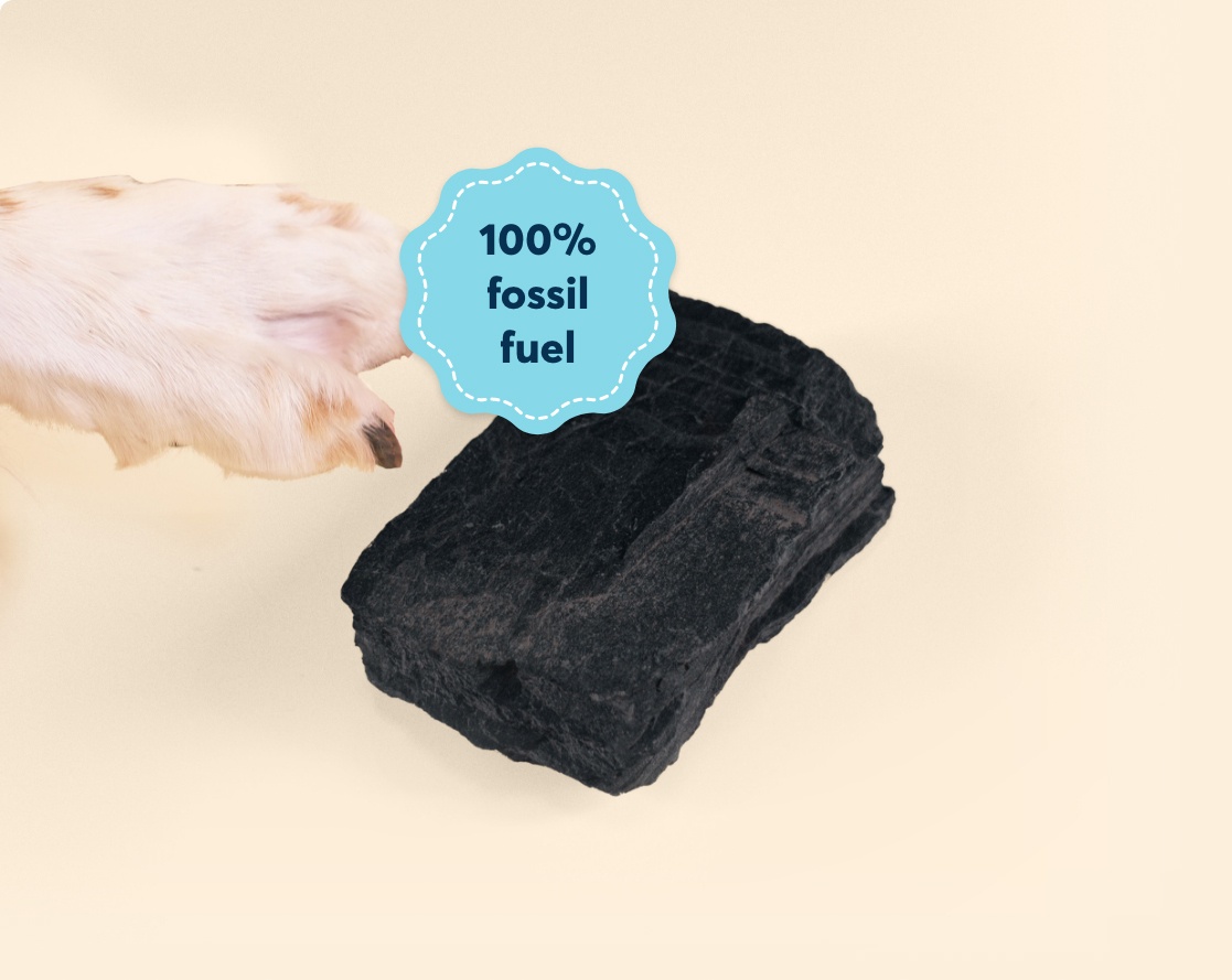 Lump of Coal