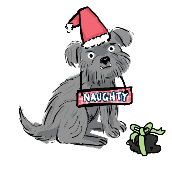 Naughty dog