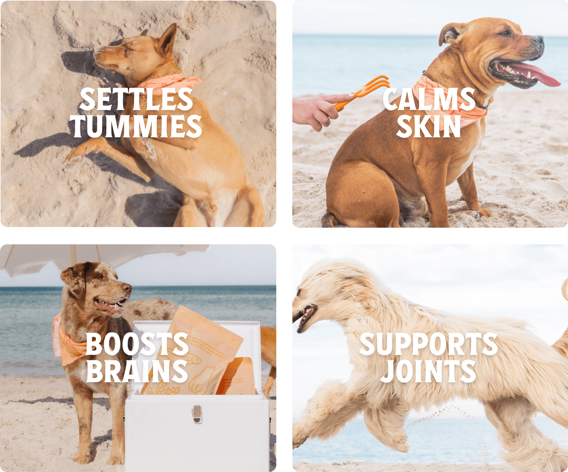 Settles tummies, calms skin, boosts brains, supports joints