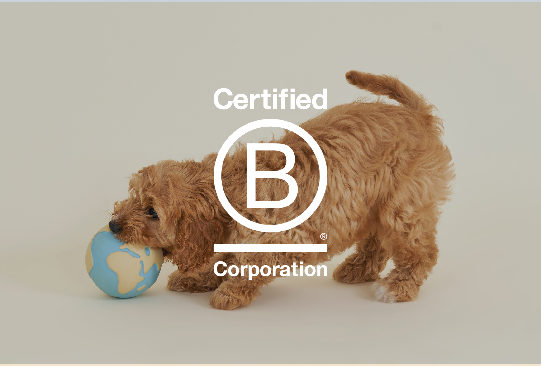 We’re B Corp re-certified!