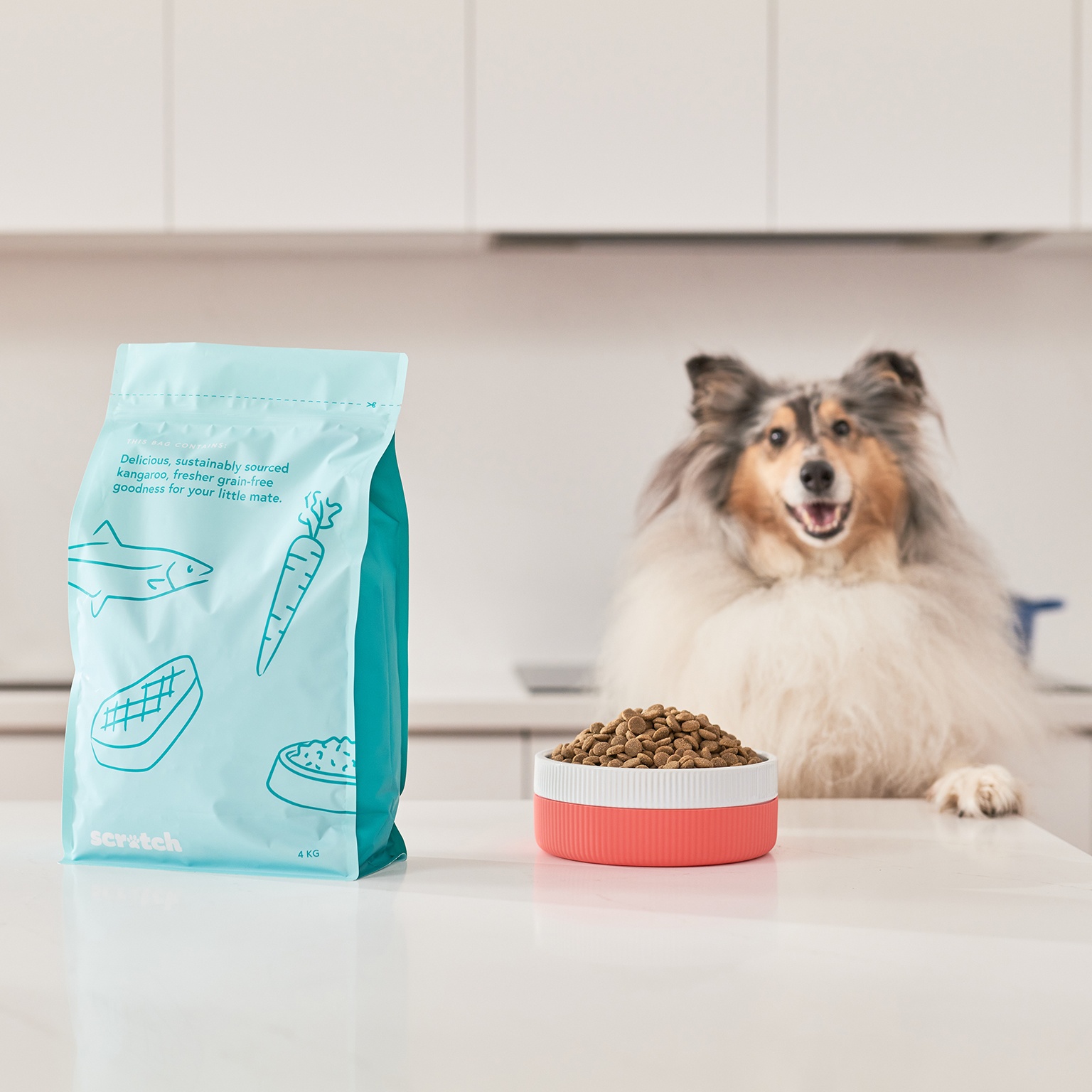 Dog with bag of kangaroo kibble
