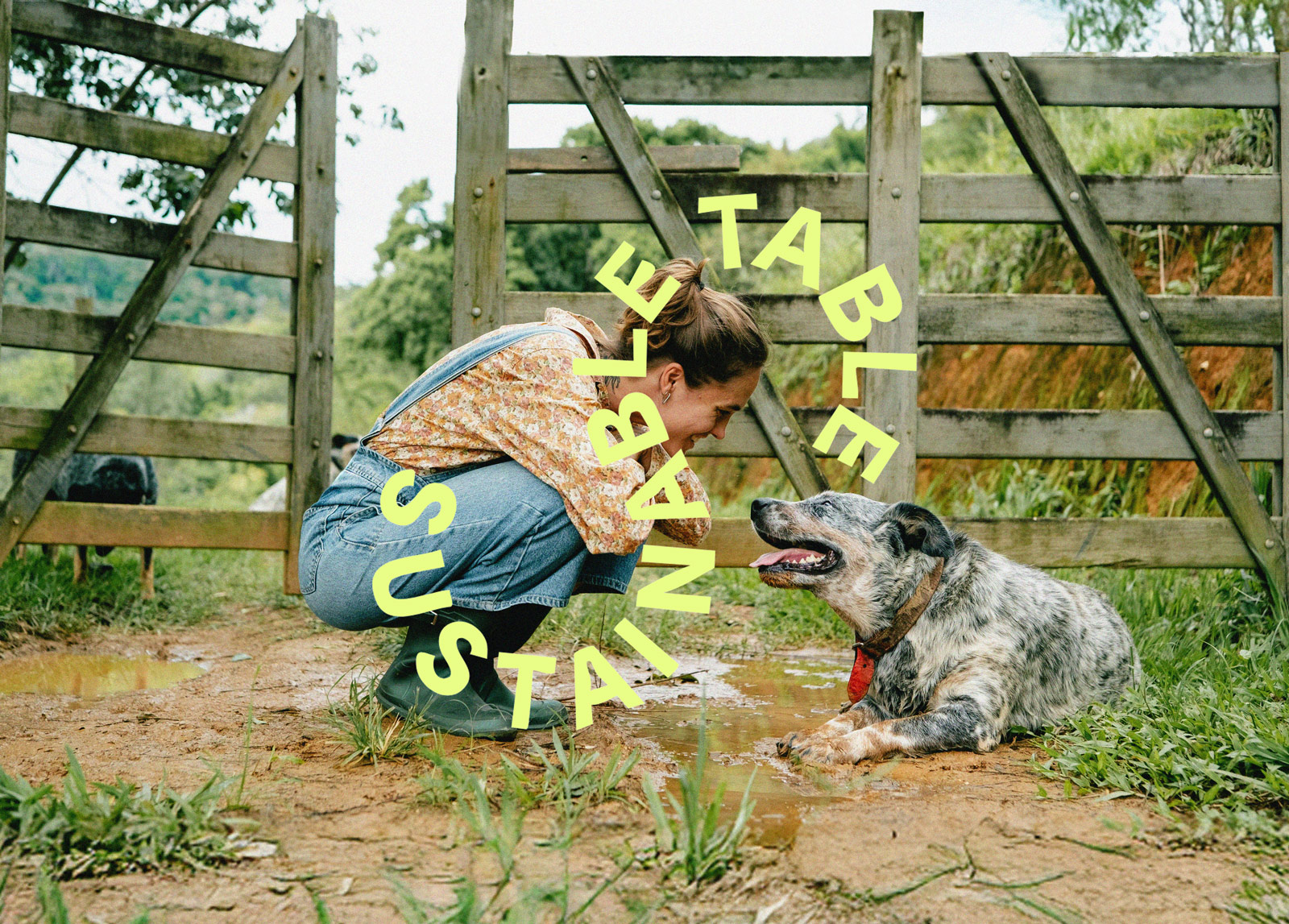 Introducing: The Dog Food Fund