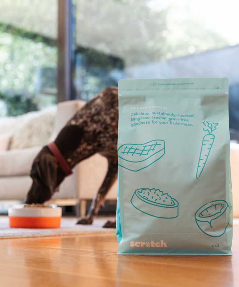 GSP dog eating kibble